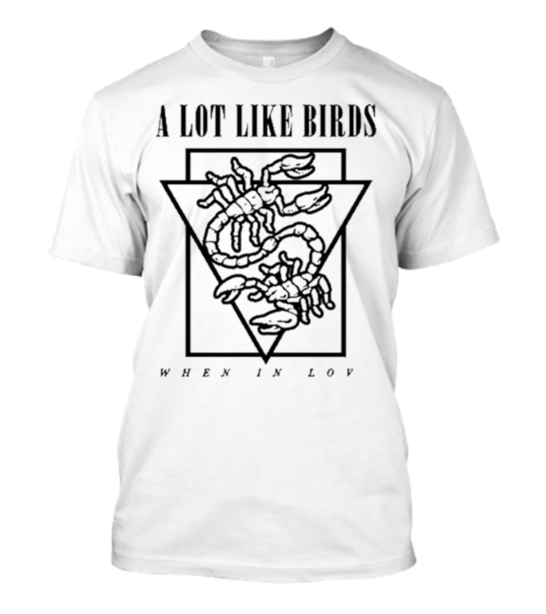 A Lot Like Birds When In Love Triangle Artwork T-Shirt