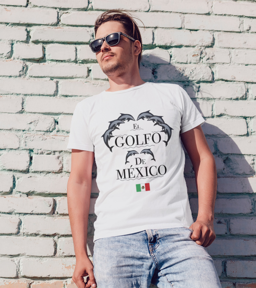 Golfo De México Dolphins Mexican Flag T-Shirt