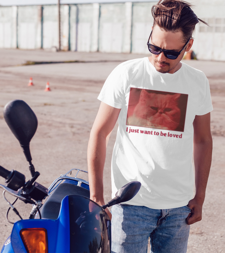 Volodymyr Testardі I Just Want To Be Loved Grumpy Cat Red Tones T-Shirt