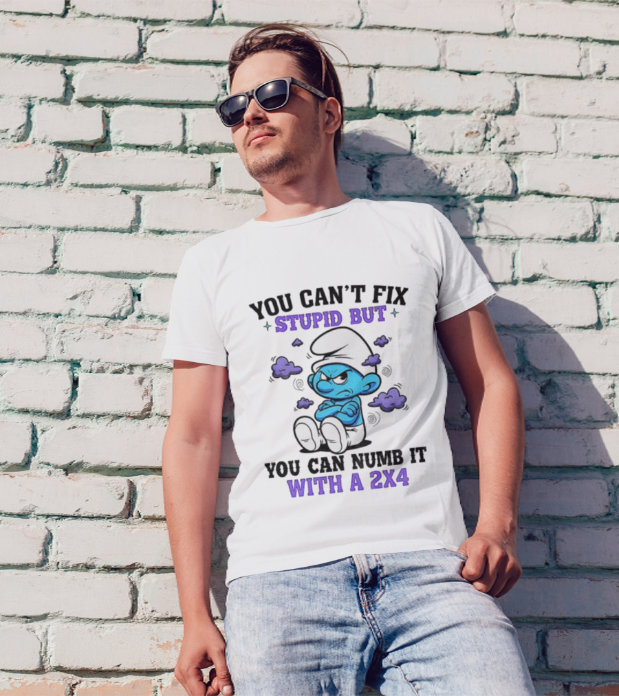 Angry Smurfs You Can't Fix Stupid But You Can Numb It With A 2x4 T-Shirt