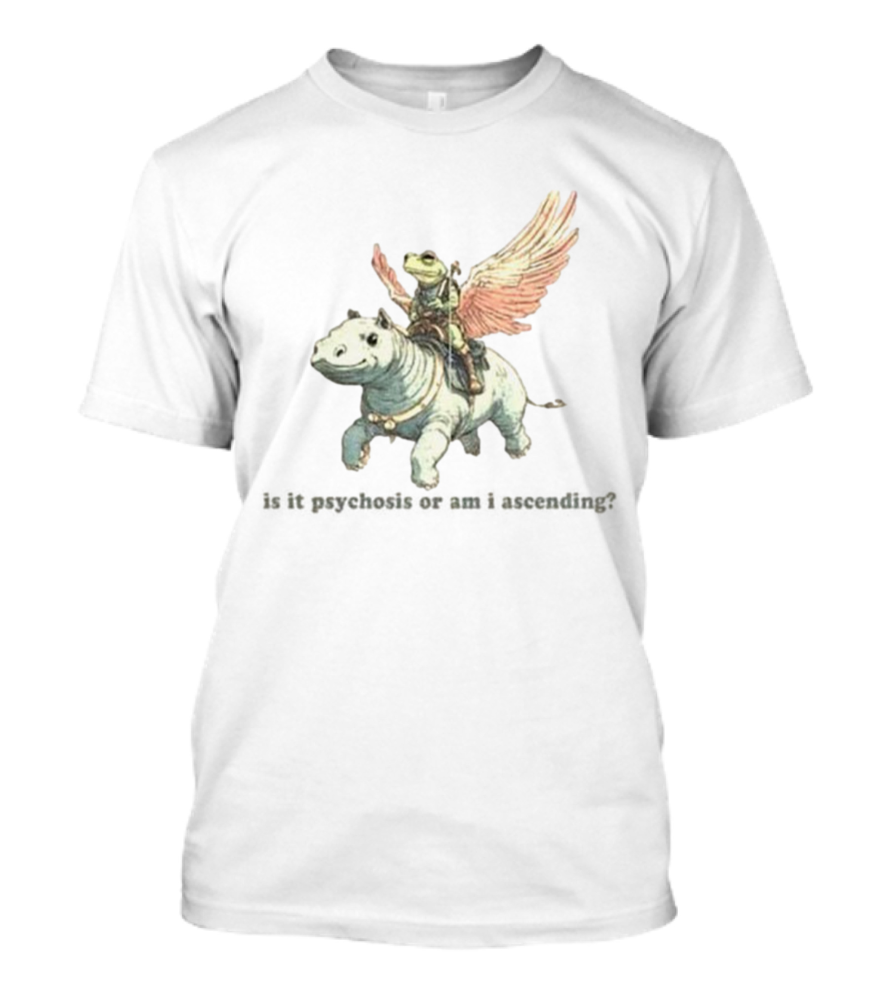 Frog Riding Flying Hippo Psychosis Or Ascension T-Shirt