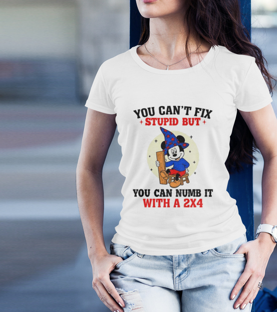 You Can't Fix Stupid But You Can Numb It With A 2x4 Mickey Witch T-Shirt