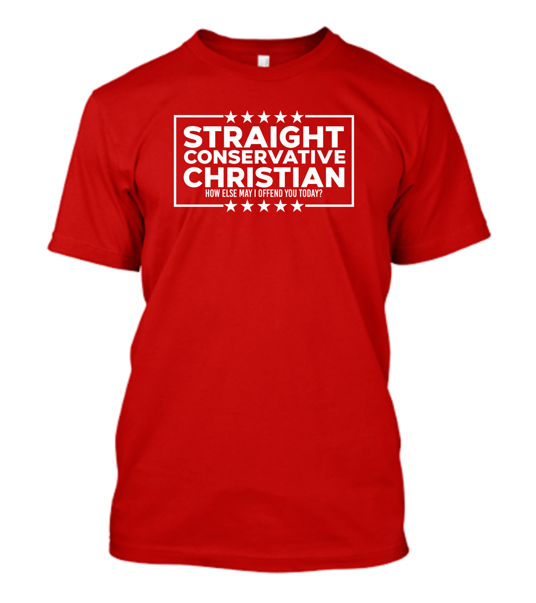 Hodgetwins Store Straight Conservative Christian How Else May I Offend You Today T-Shirt