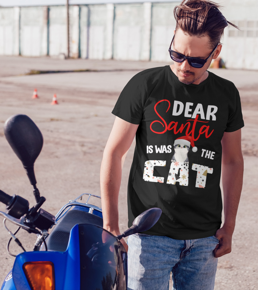 Dear Santa Cute Cat In Santa Hat Holiday Christmas T-Shirt