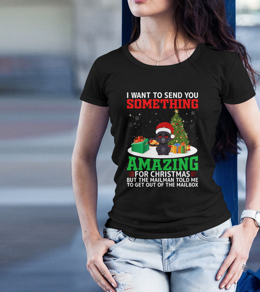 I Want To Send You Something Amazing For Christmas But The Mailman Told Me To Get Out Of The Mailbox T-Shirt