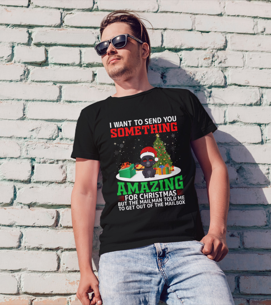 I Want To Send You Something Amazing For Christmas But The Mailman Told Me To Get Out Of The Mailbox T-Shirt