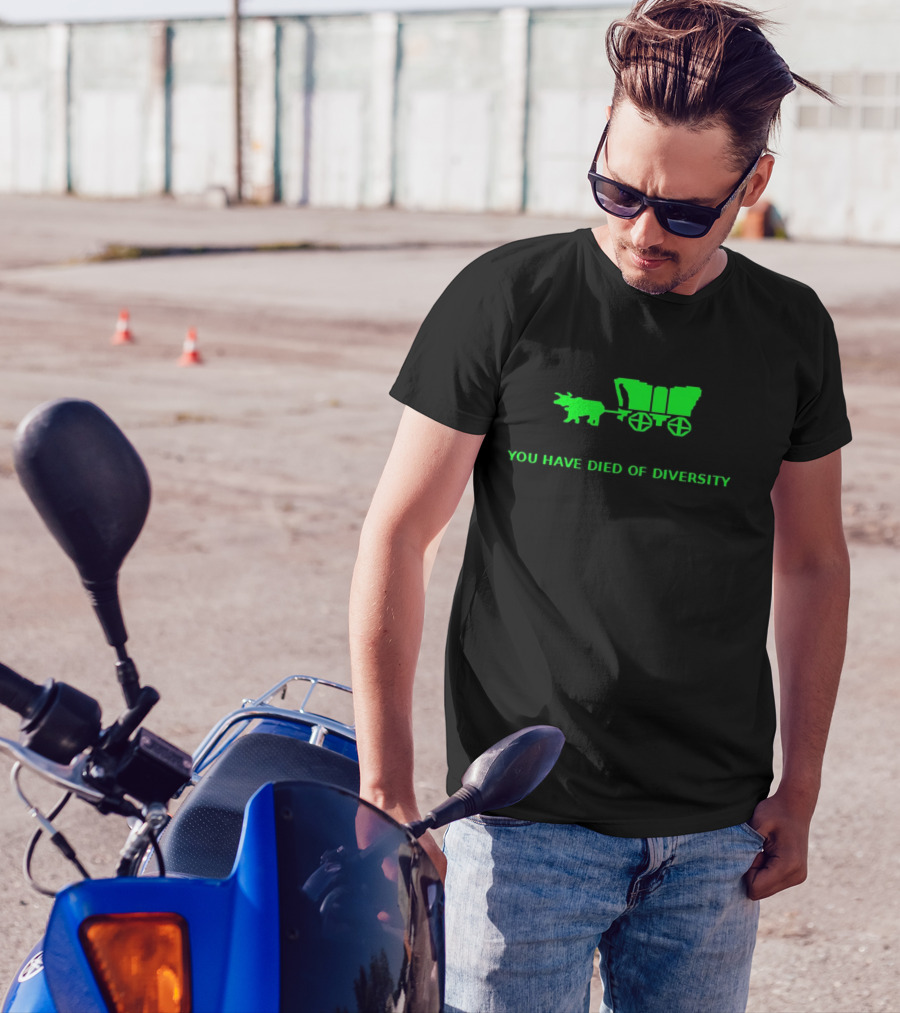 You Have Died Of Diversity Oregon Trail Pixel T-Shirt