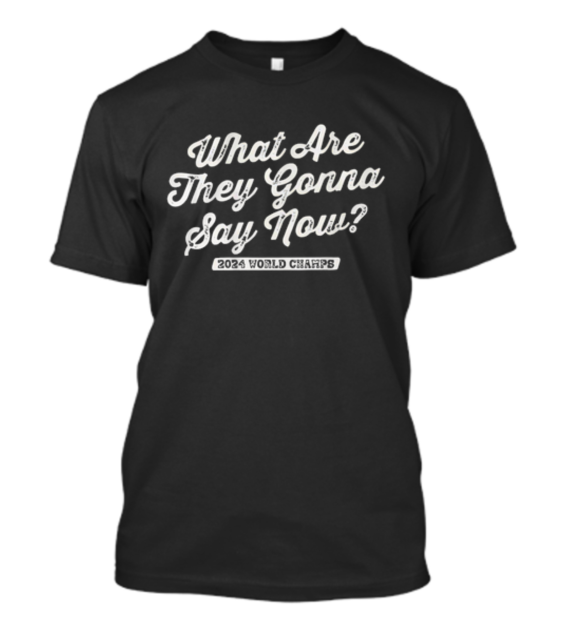 Los Angeles Dodgers 2024 World Champs What Are They Gonna Say Now T-Shirt