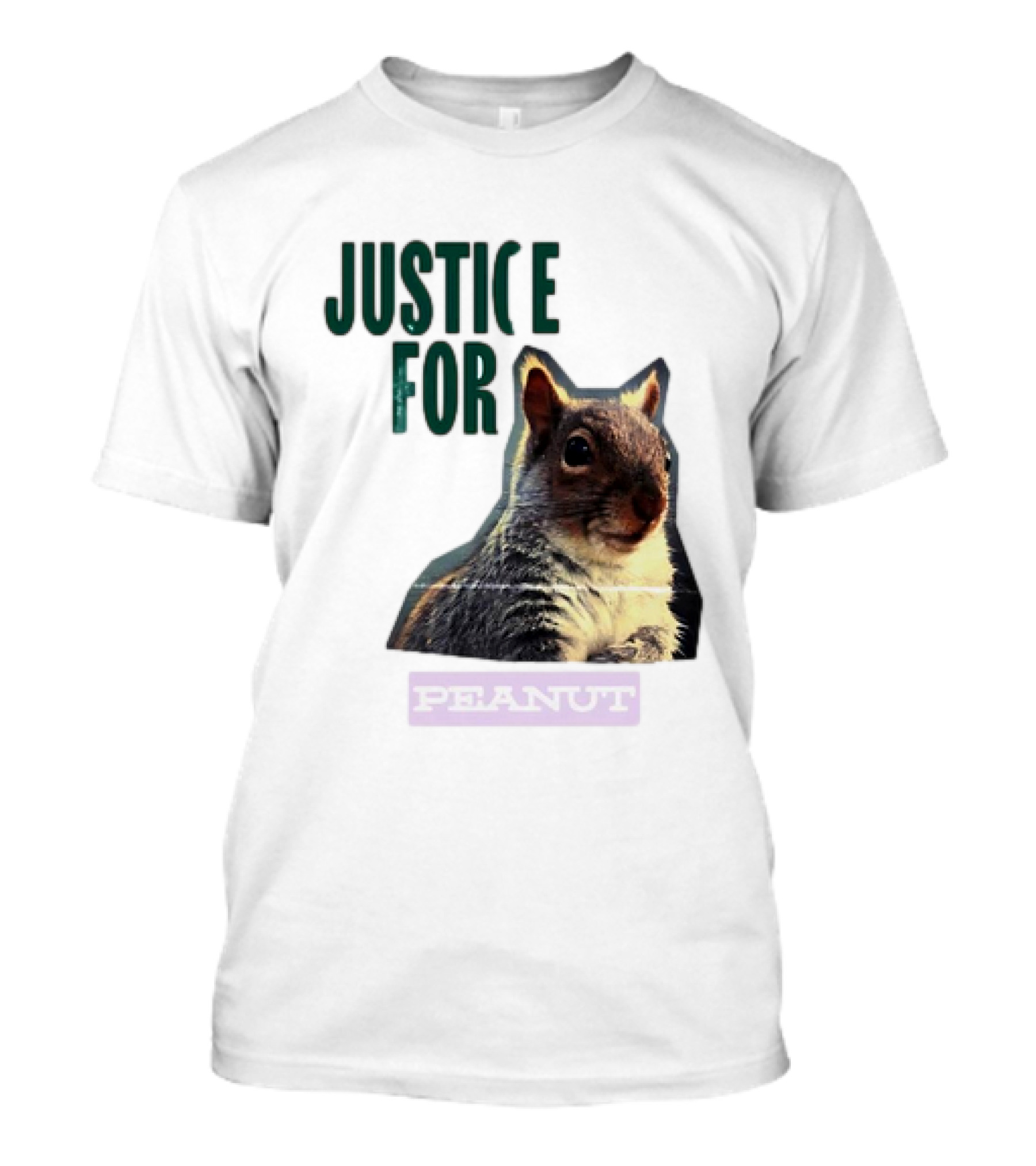 Justice For Peanut Squirrel T-Shirt