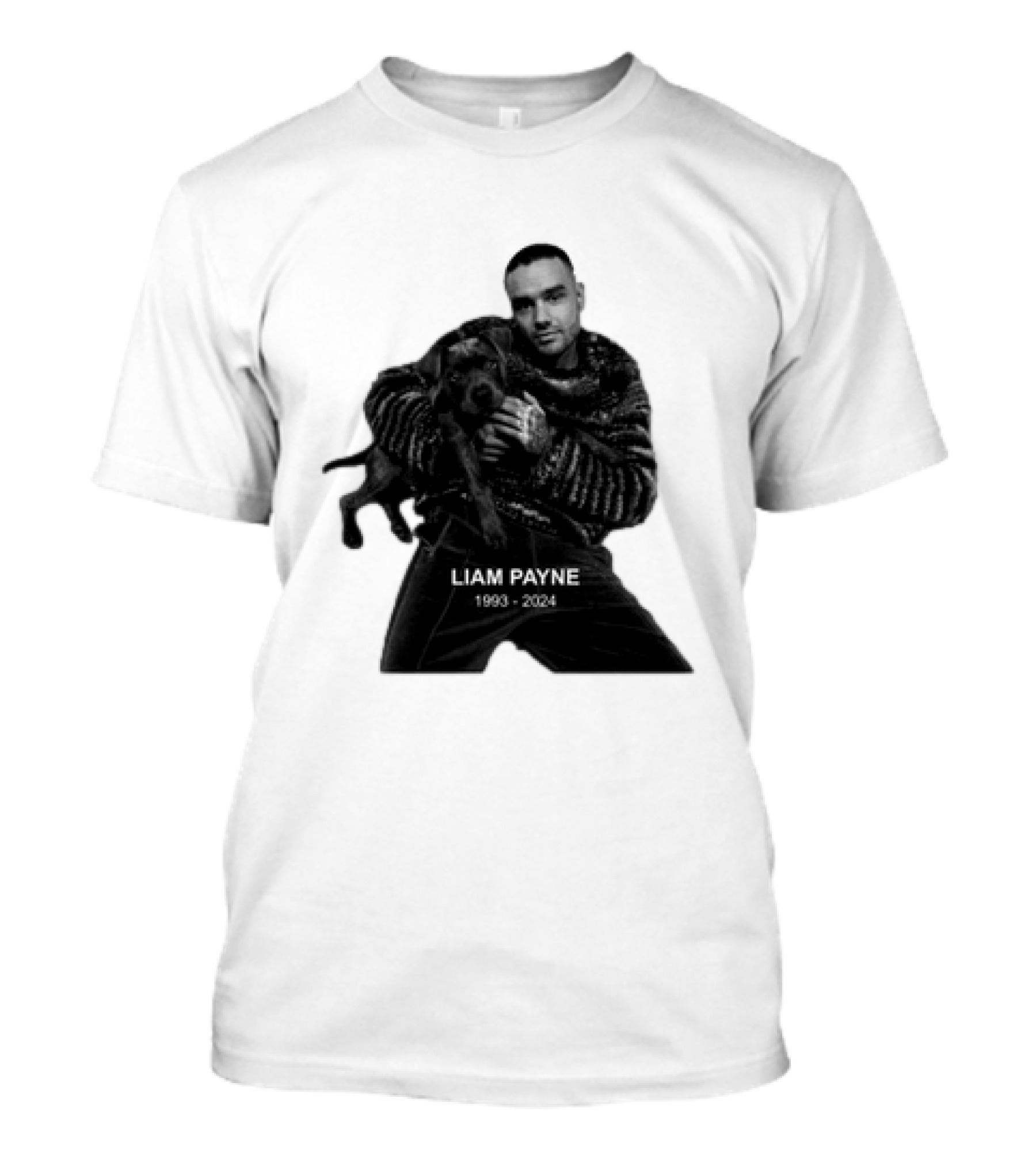 Liam Payne 1993-2024 Vuitino RIP T-Shirt