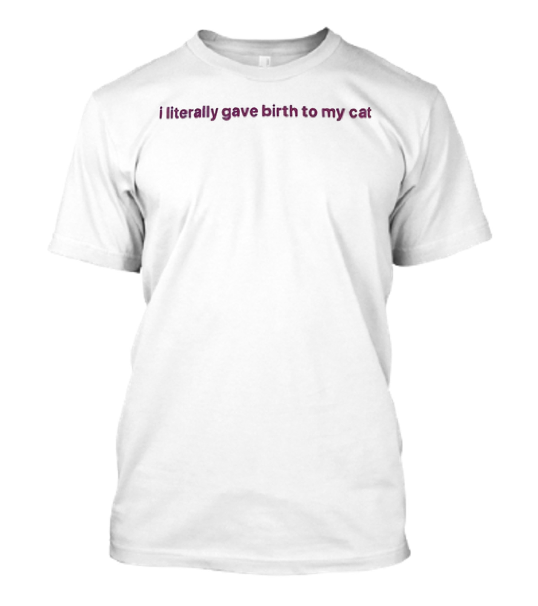 I Literally Gave Birth To My Cat T-Shirt