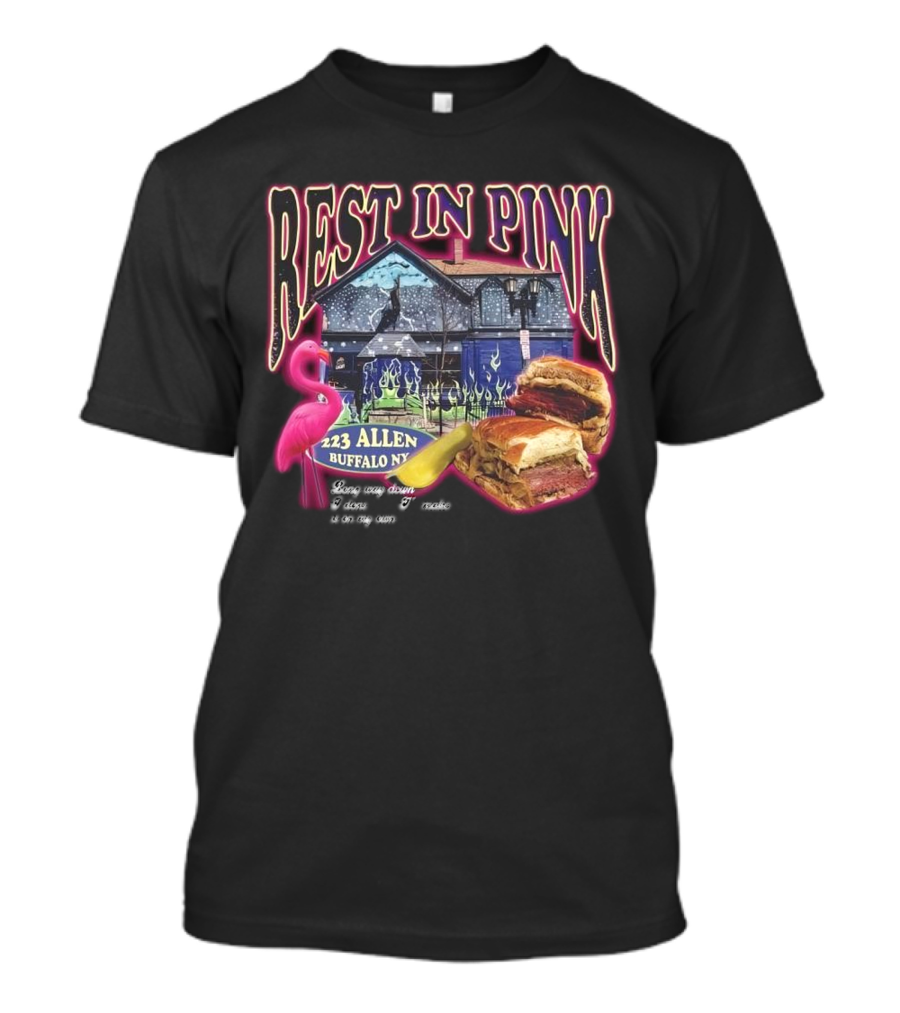 Rest In Pink 223 Allen Buffalo NY Flamingo Sandwich House T-Shirt