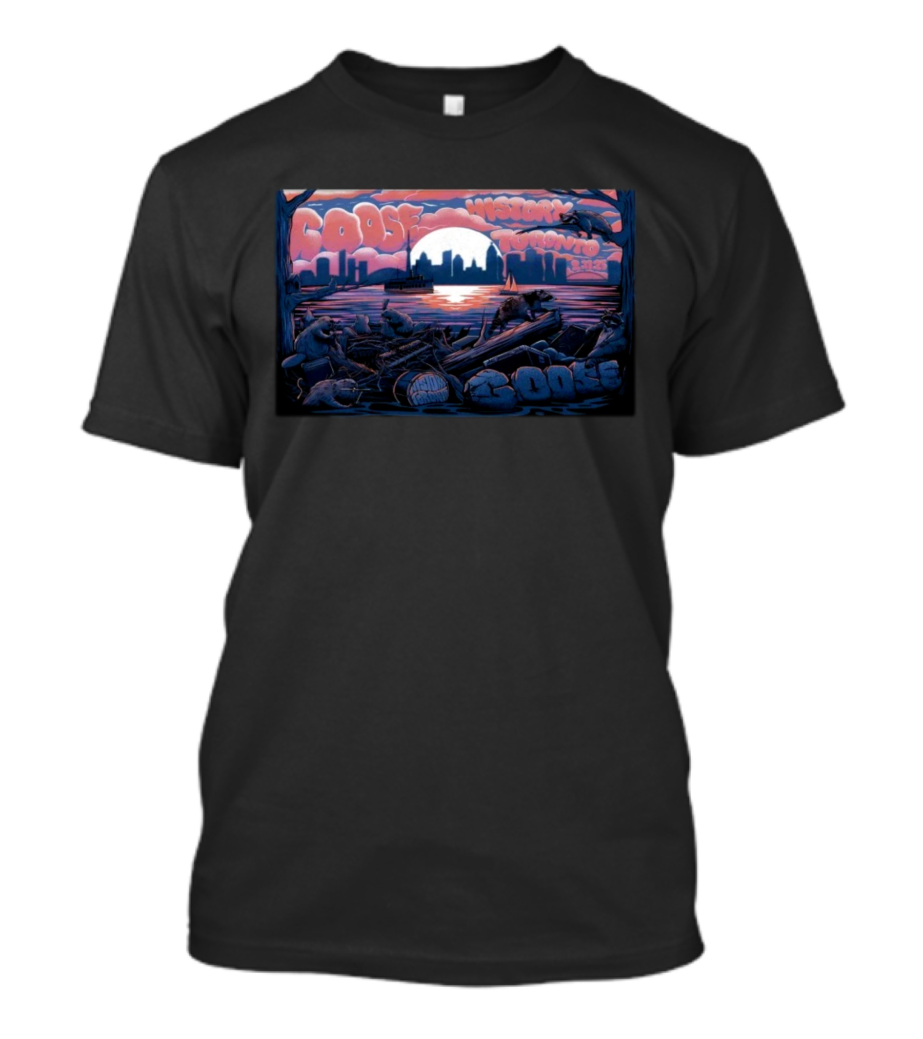 Goose At History In Toronto, ON Feb 11 2025 T-Shirt