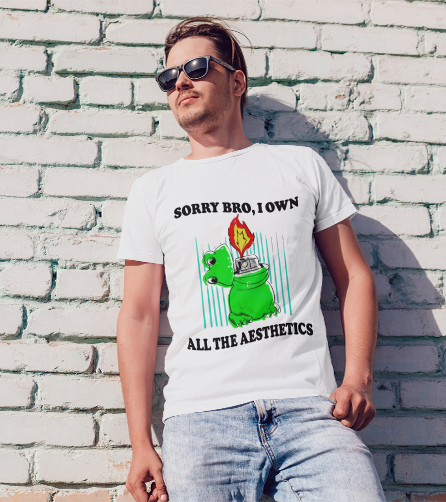 Sorry Bro I Own All The Aesthetics Melting Frog Lighter Flame T-Shirt