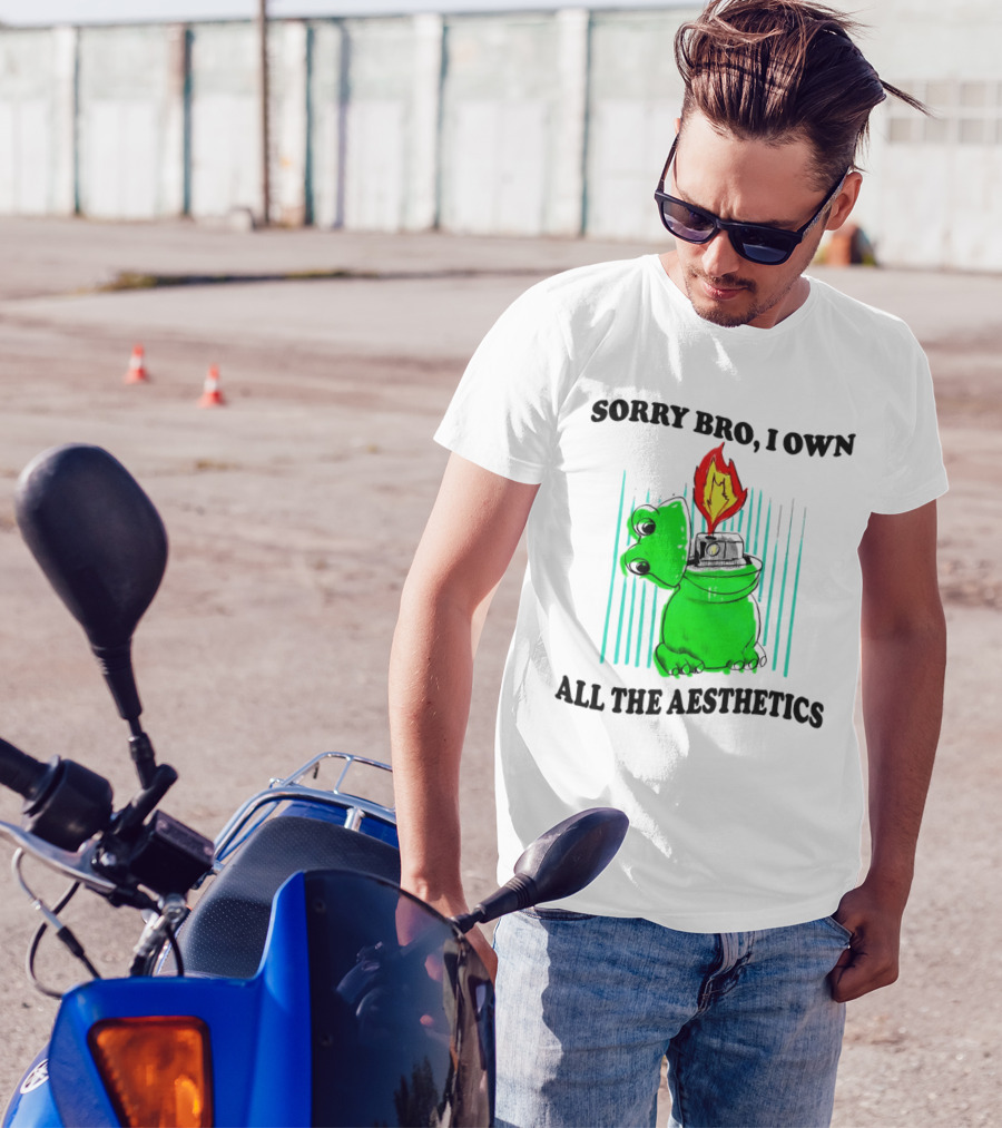 Sorry Bro I Own All The Aesthetics Melting Frog Lighter Flame T-Shirt