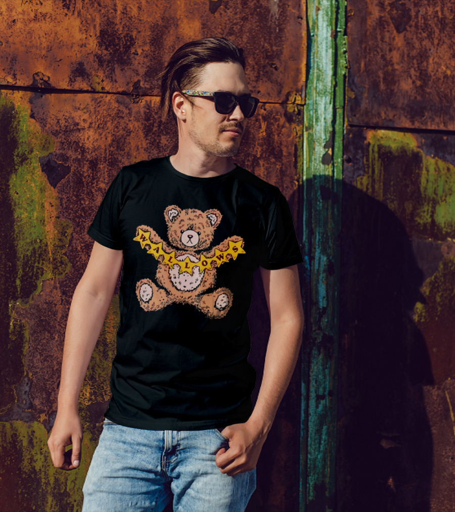 Wallows Teddy Bear Holding Stars T-Shirt