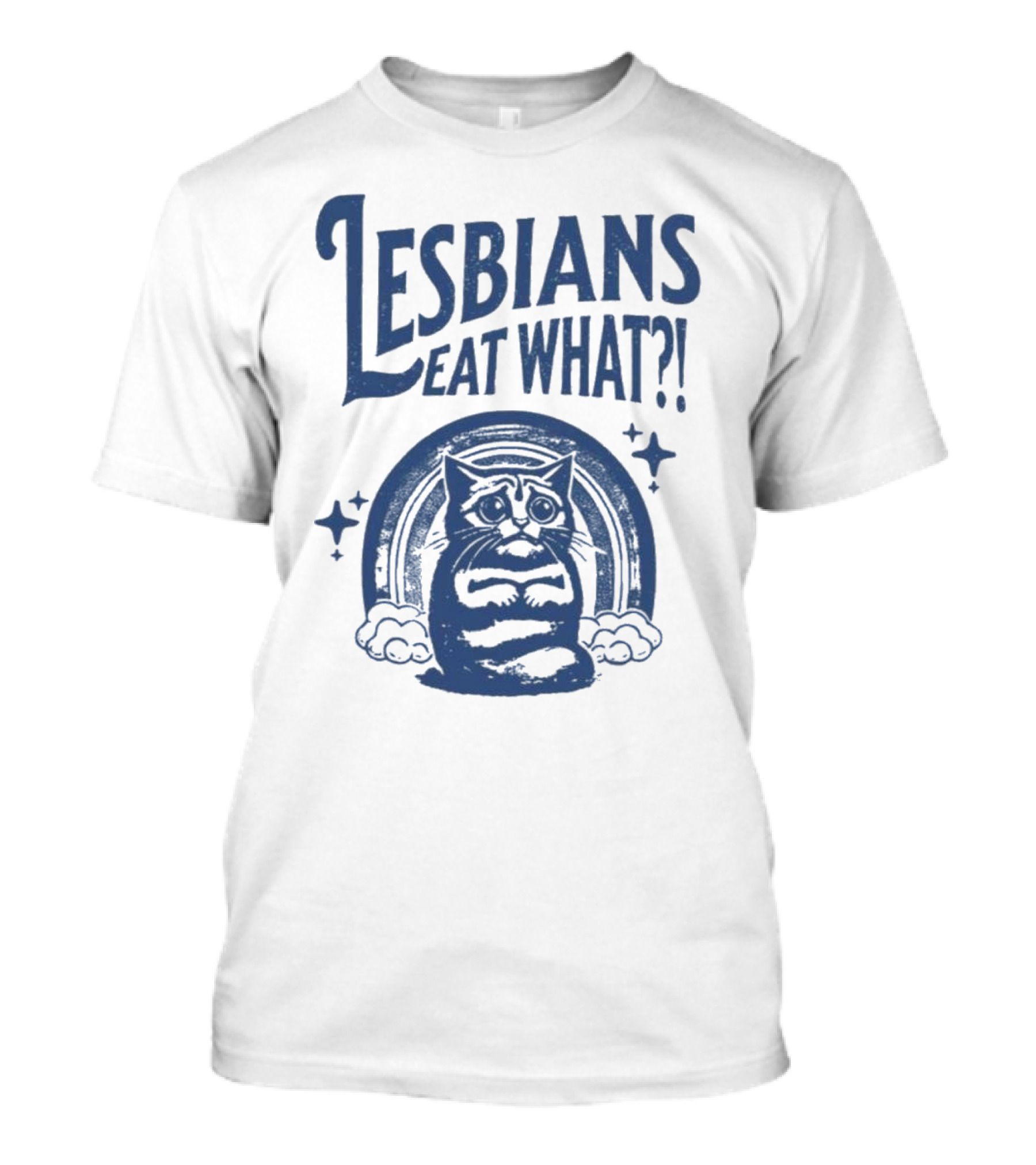 Lesbians Eat What Cat Rainbow Retro Vibe T-Shirt