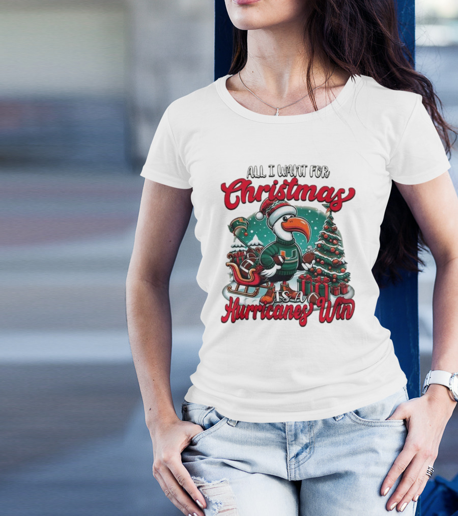 All I Want For Christmas Is A Hurricanes Win Santa Birdfest T-Shirt
