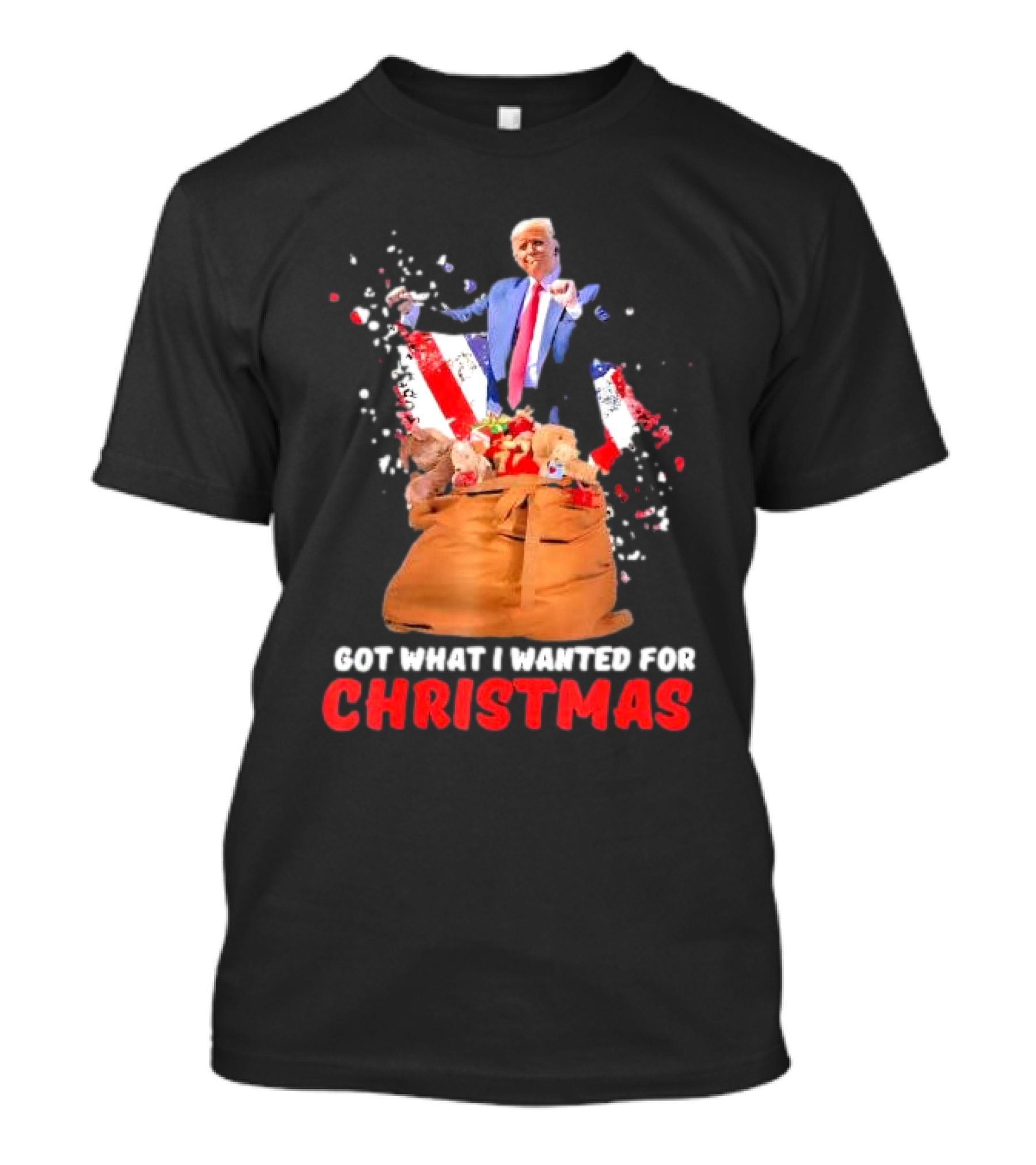 Got What I Wanted For Christmas Trump Won 2024 President T-Shirt