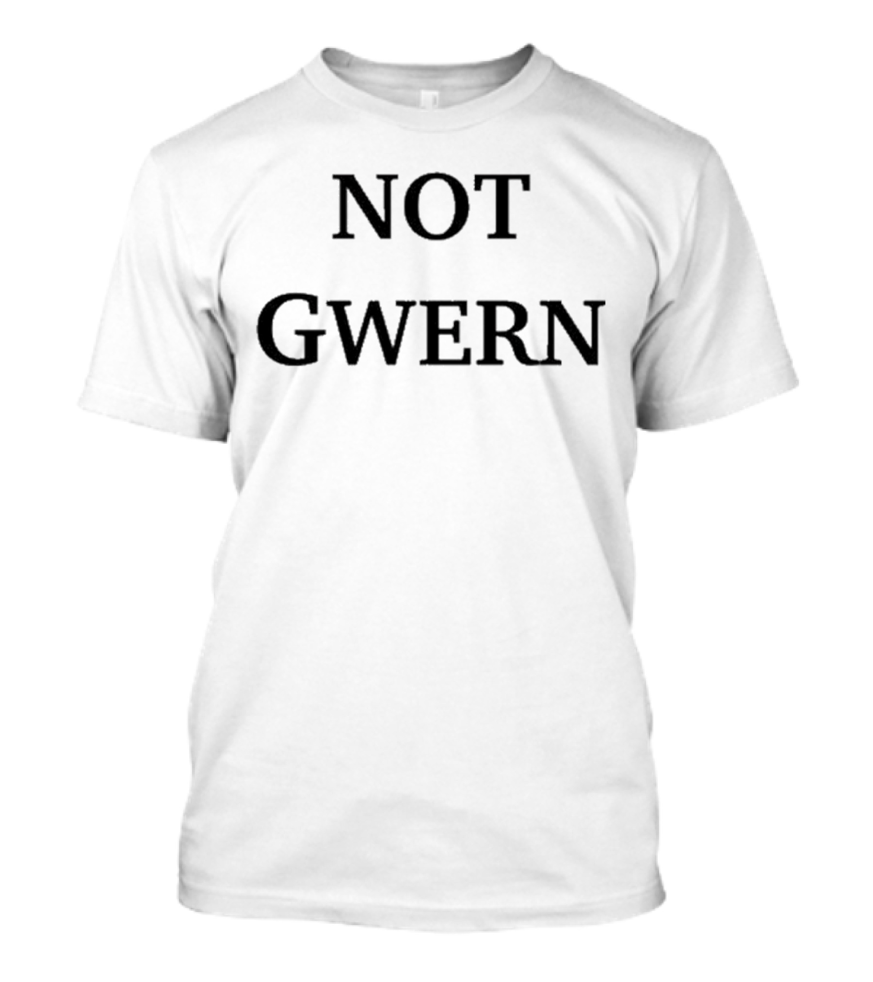 Chris Painter Not Gwern 2024 Not Gwern T-Shirt