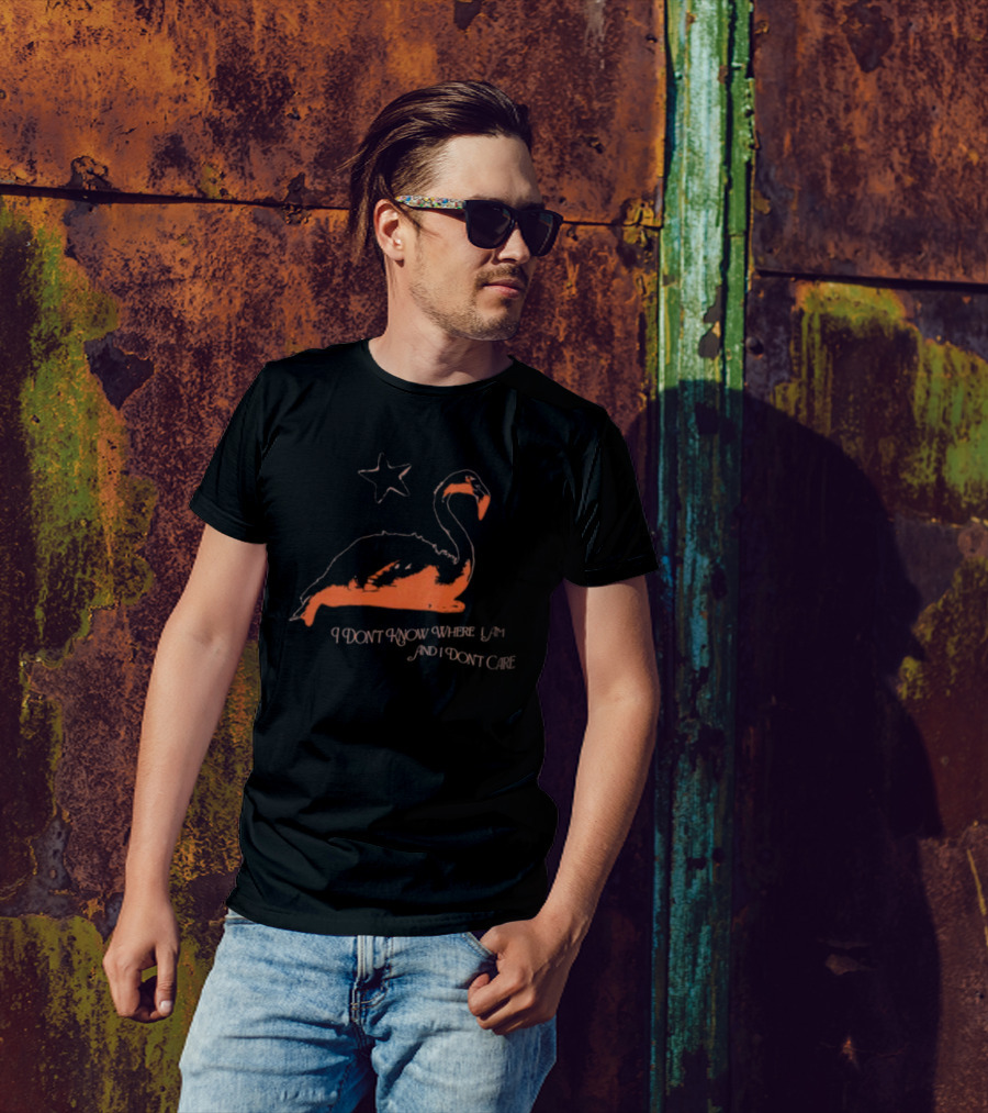 Flamingo I Don’t Know Where I Am And I Don’t Care With Star T-Shirt