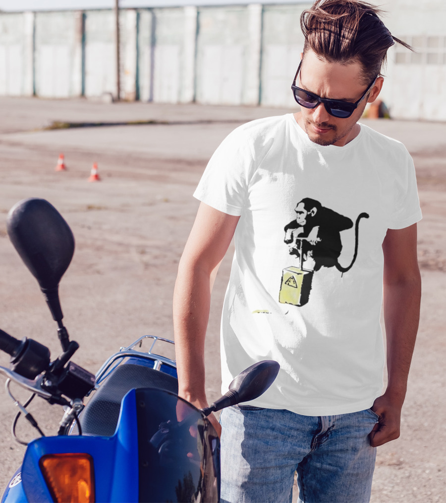 Lex Luthor Bricks Bomb Banana Banksy Influenced T-Shirt