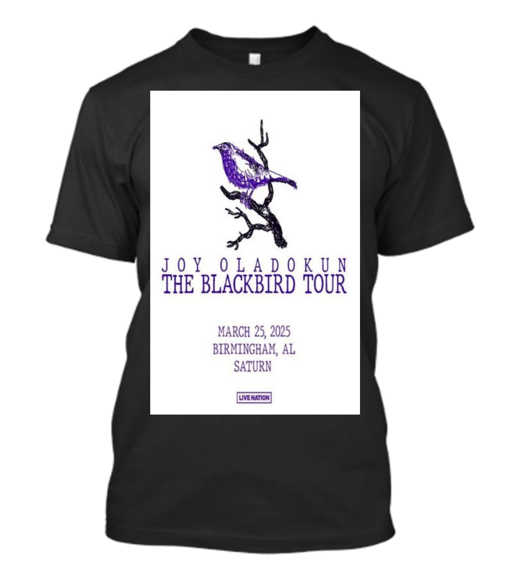 Joy Oladokun The Blackbird Tour Birmingham AL March 25 2025 Saturn T-Shirt