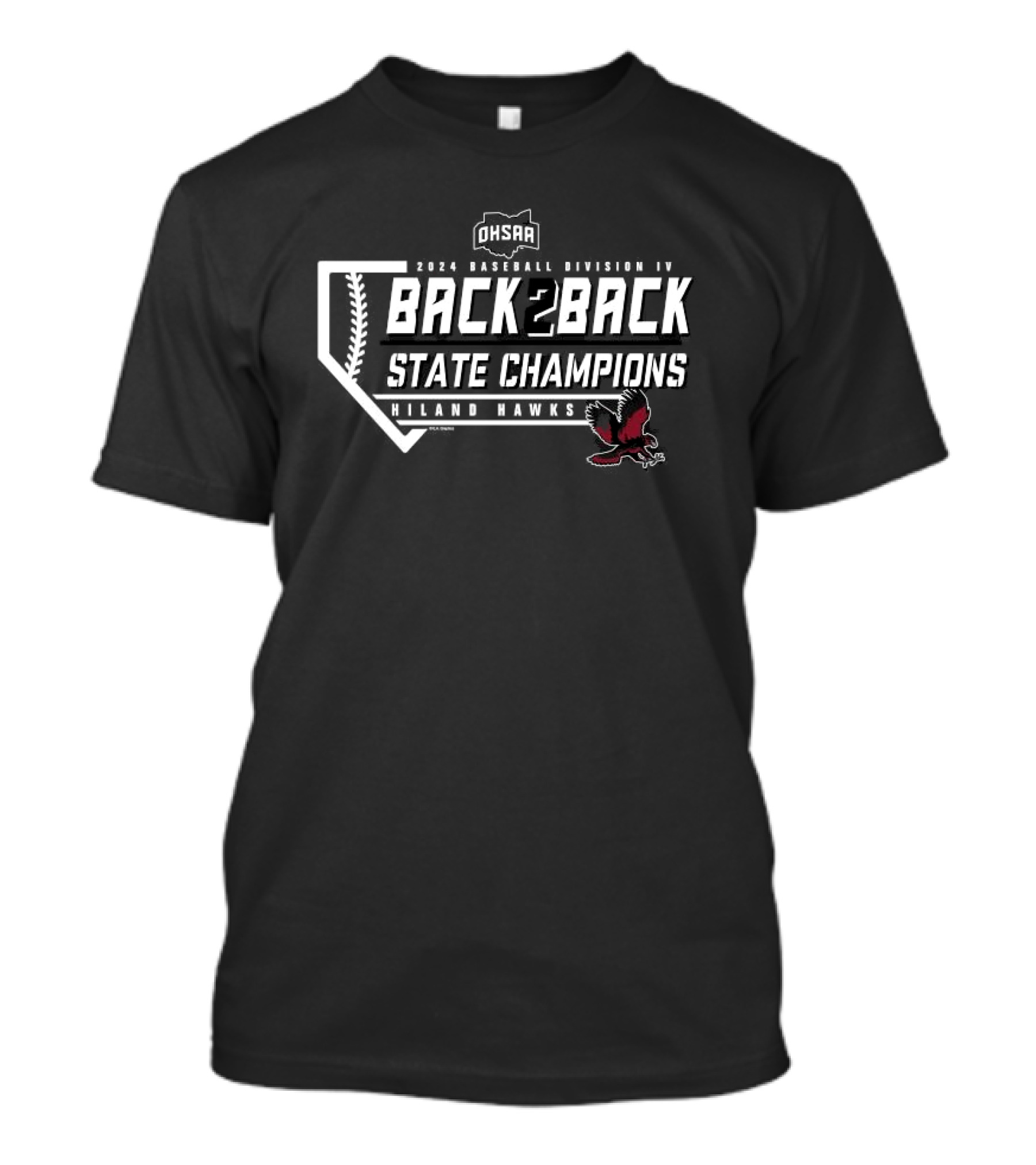 Hiland Hawks 2024 OHSAA Baseball Division IV Back2Back State Champions T-Shirt