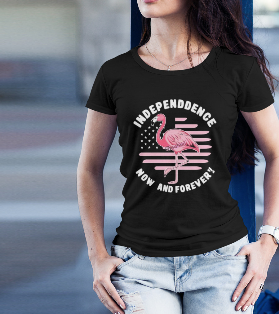 Independence Now And Forever Flamingo America Flag T-Shirt