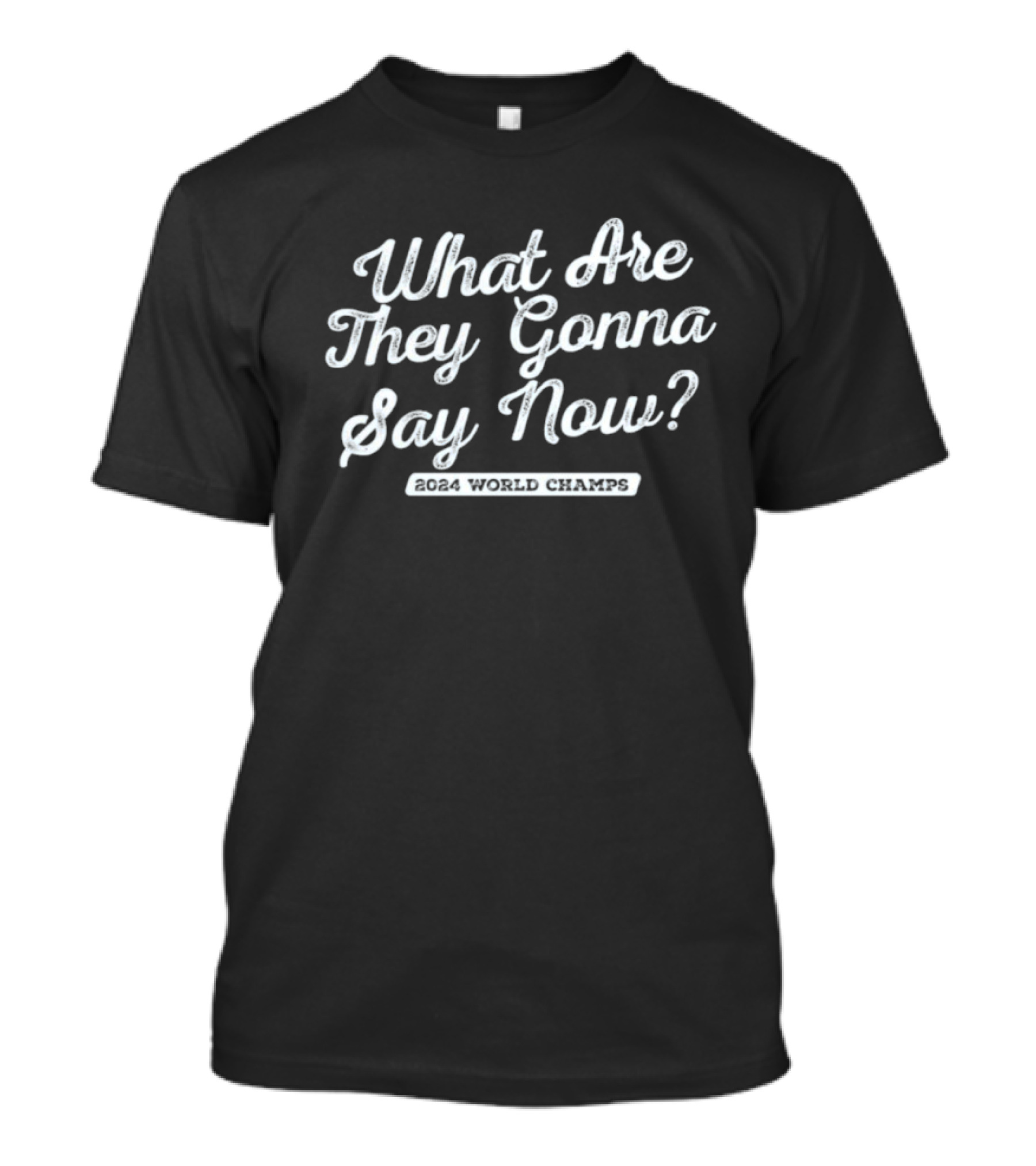 Los Angeles Baseball 2024 World Champs What Are They Gonna Say Now T-Shirt