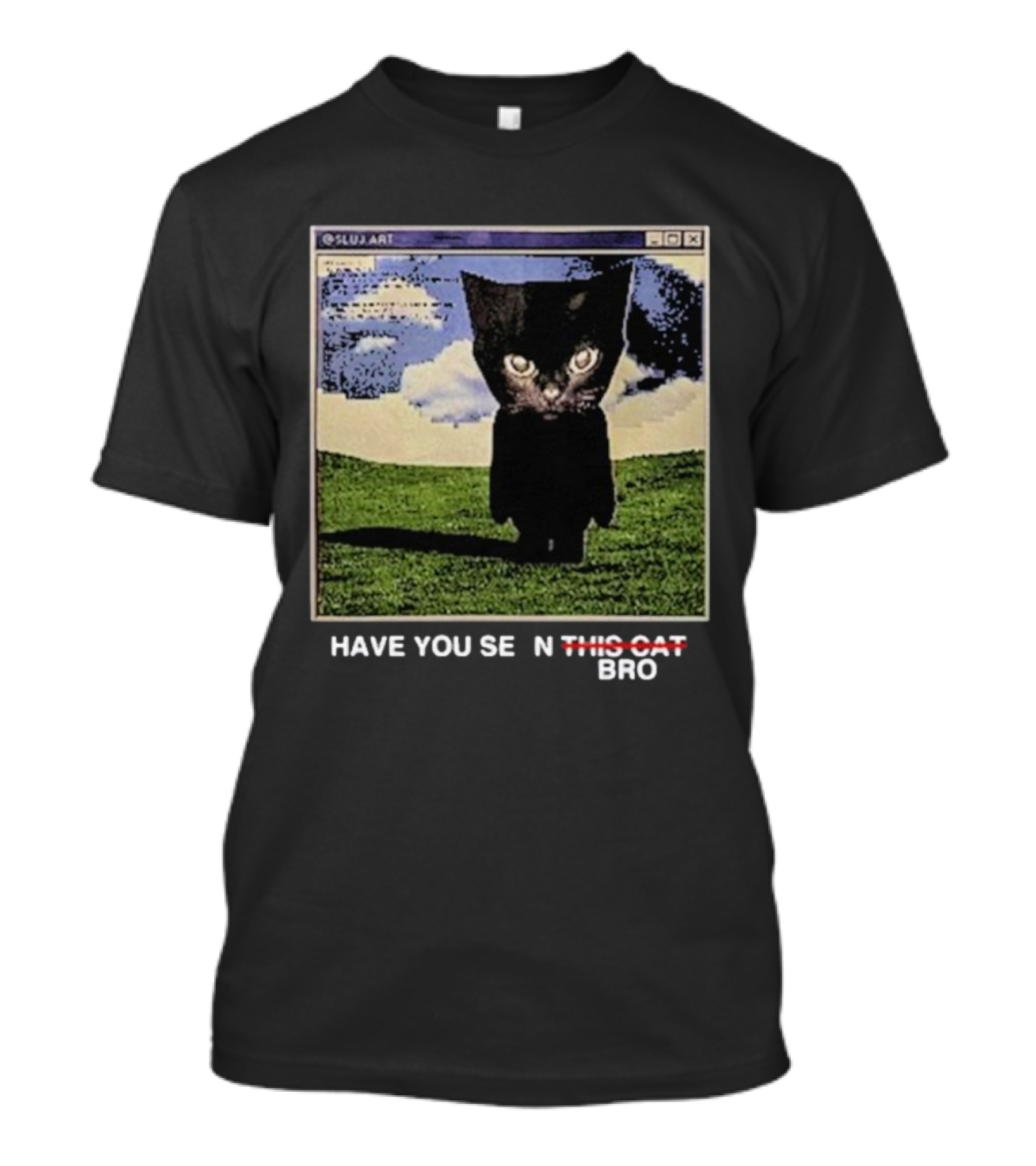 Have You Seen This Cat Bro SLUJ ART Computer Screen T-Shirt