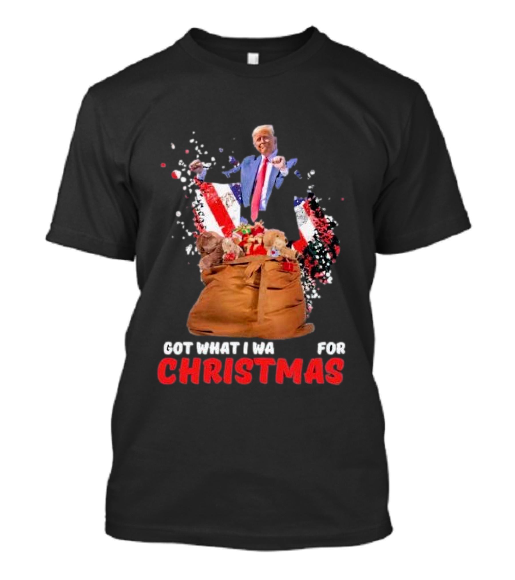 Won US President Got What I Wanted Christmas Republican T-Shirt