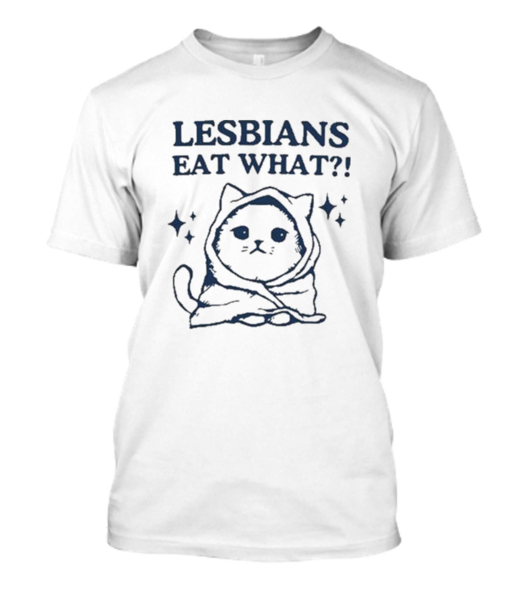 Lesbians Eat What Cat Wrapped In Blanket With Stars T-Shirt
