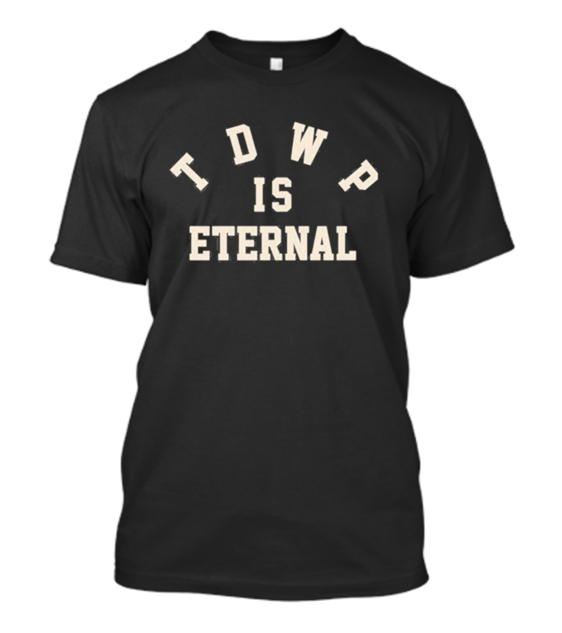 TDWP Is Eternal 2024 Tour Merchandising Graphics T-Shirt