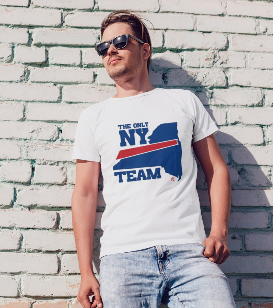 The Only NY Team New York State Silhouette Red Stripe T-Shirt