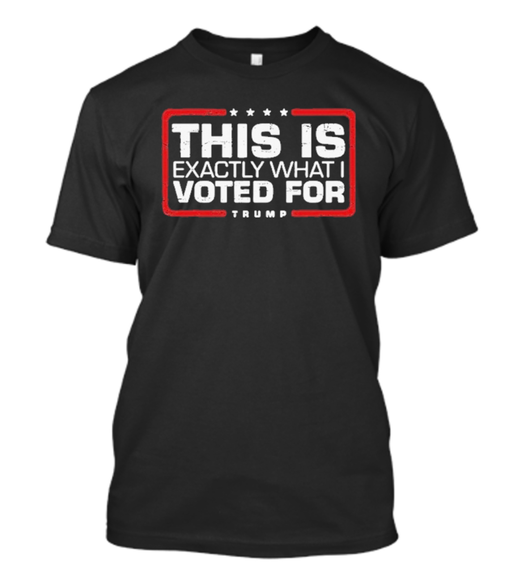 This Is Exactly What I Voted For Trump Stars Border T-Shirt