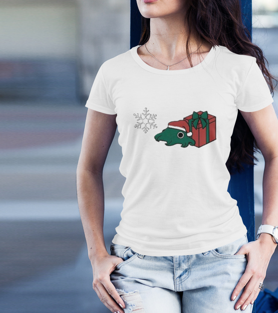 Fgmoo Holiday 2024 Christmas Santa Hat And Gift Box T-Shirt