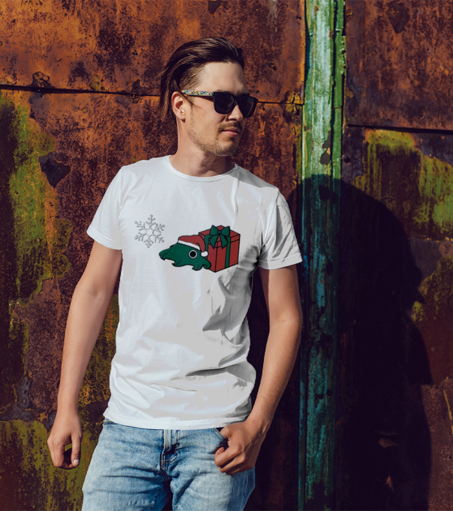 Fgmoo Holiday 2024 Christmas Santa Hat And Gift Box T-Shirt