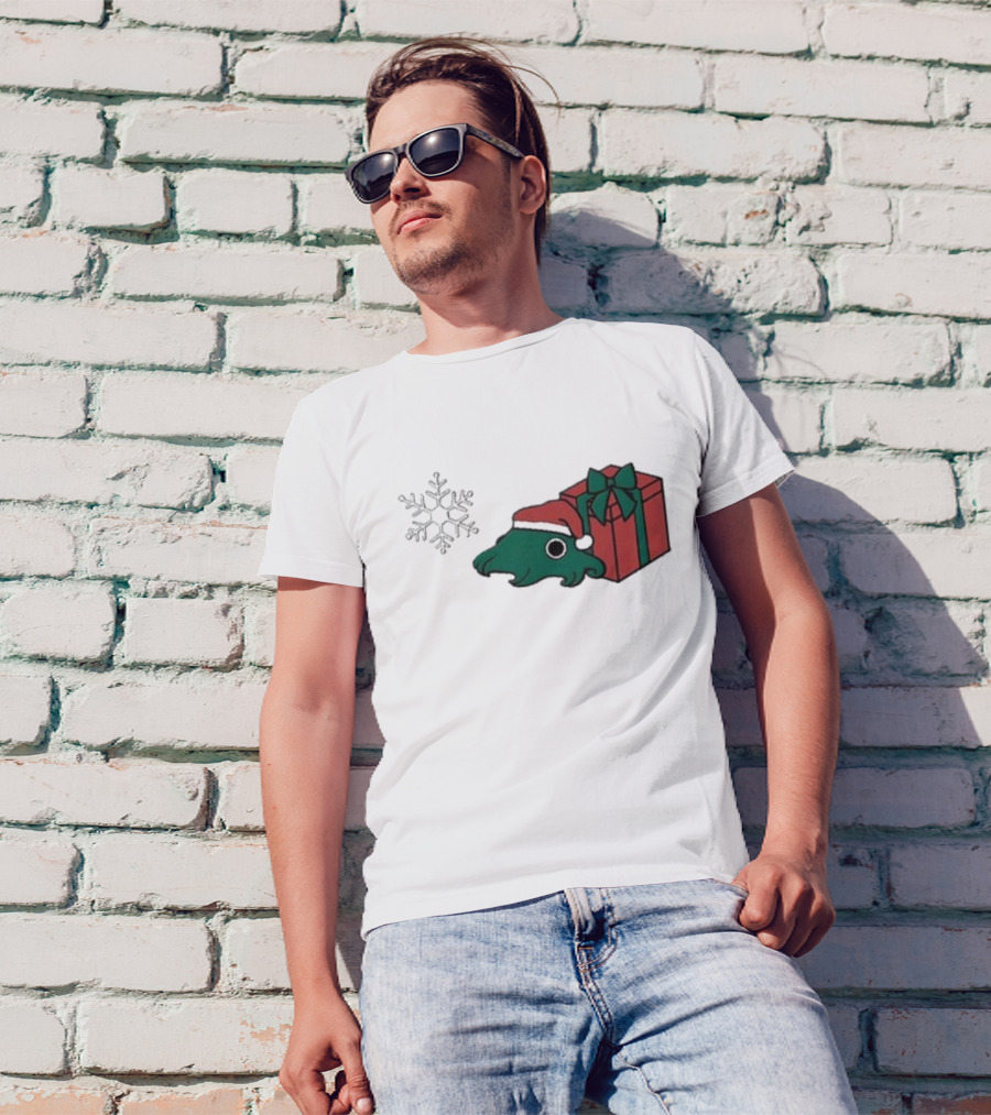 Fgmoo Holiday 2024 Christmas Santa Hat And Gift Box T-Shirt